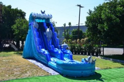 21ft Dolphin Dive Water Slide W/Pool
